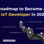 IoT Developer